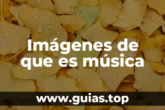 Que es un contenido disciplinar en la musica 8 Imágenes de que es música