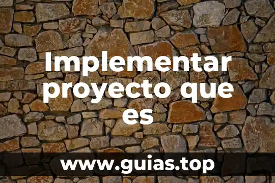 Que es un proyecto y los tipos 3 Implementar proyecto que es