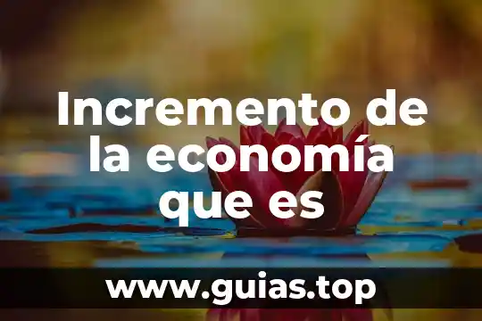 Que es el principio de seleccion en economia 3 Incremento de la economía que es