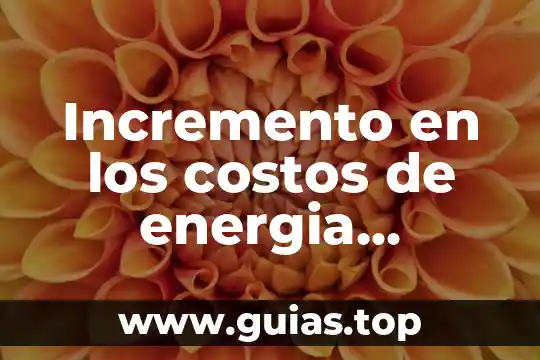 Qué es la energía de combustible 3 Incremento en los costos de energia mercadotecnia que es