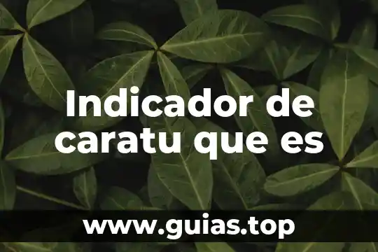 Qué es un indicador griego 6 Indicador de caratu que es