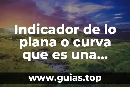 Qué es rocoso definición 8 Indicador de lo plana o curva que es una curva