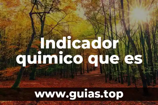 Qué es un indicador griego 3 Indicador quimico que es
