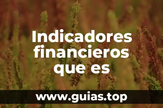 Historiadores que es 3 Indicadores financieros que es