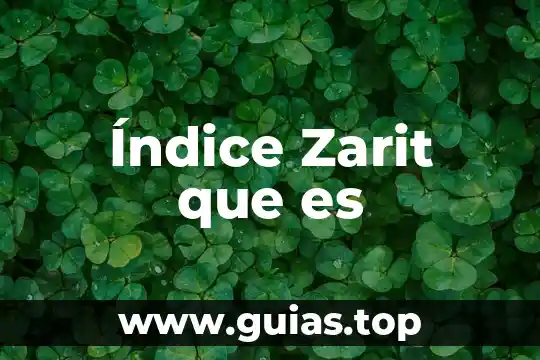 Qué es el índice de peróxidos en física 3 Índice Zarit que es
