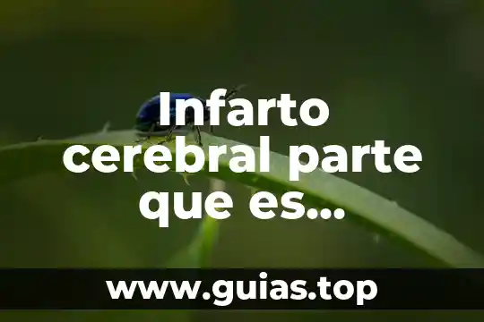 Que es la masa del tejido cerebral 4 Infarto cerebral parte que es afectada