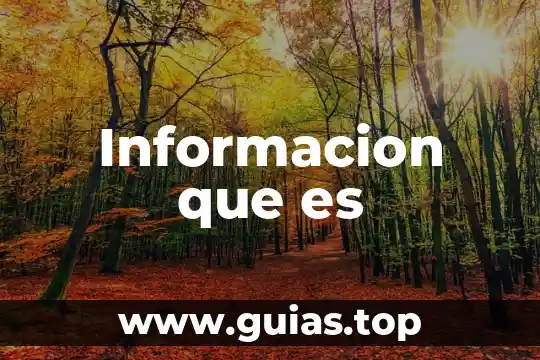 Que es gobierno de tecnologias de informacion 4 Informacion que es