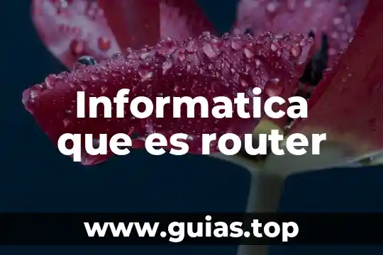 Qué es el color en informática 8 Informatica que es router