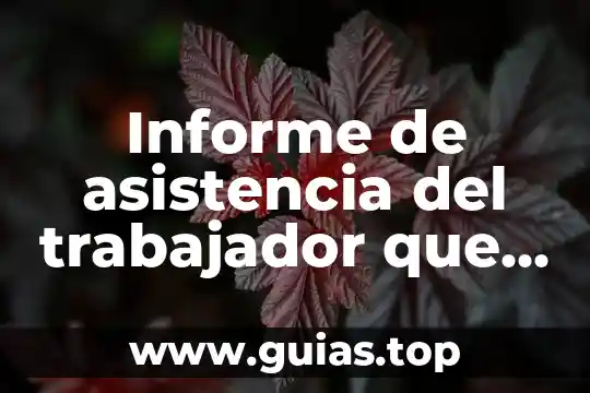 Que es el sistema de asistencia onstar 4 Informe de asistencia del trabajador que es
