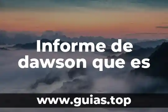 Qué es visión en un informe 3 Informe de dawson que es