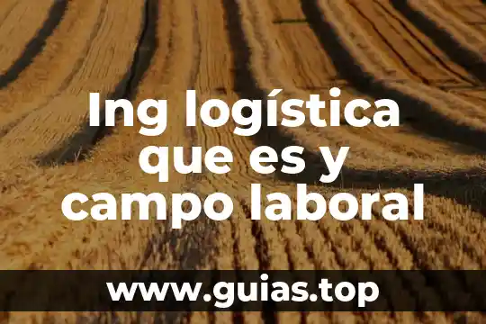 Terminal value que es 3 Ing logística que es y campo laboral