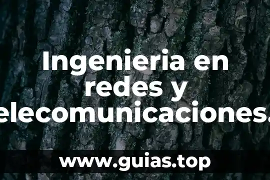 Que es ingenieria genetica humana y fecundacion 8 Ingenieria en redes y telecomunicaciones que es