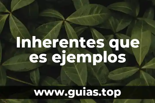 Ejemplos de lo que es la razonamiento 3 Inherentes que es ejemplos