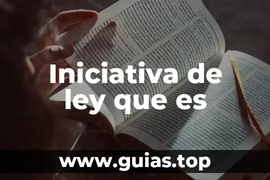 Ley pareto que es 4 Iniciativa de ley que es