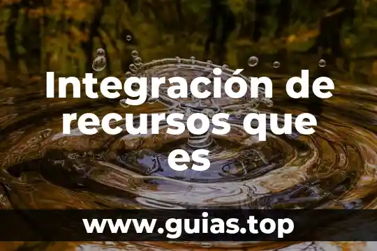 Que es la integración en una tesis 6 Integración de recursos que es