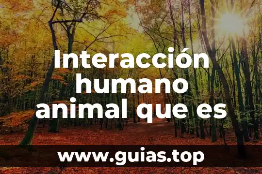 Materialize que es 6 Interacción humano animal que es