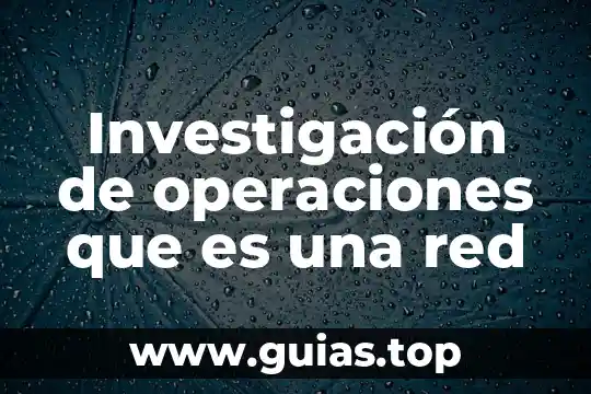 Que es el sexo comercial macdonalds 7 Investigación de operaciones que es una red