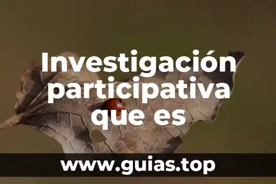 Qué es la investigación en línea definición 6 Investigación participativa que es