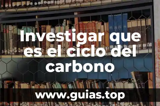 Que es un ciclo biogeoquimico yahoo 6 Investigar que es el ciclo del carbono