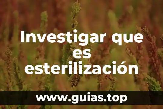 Sobre qué es importante investigar en psicología clínica 7 Investigar que es esterilización