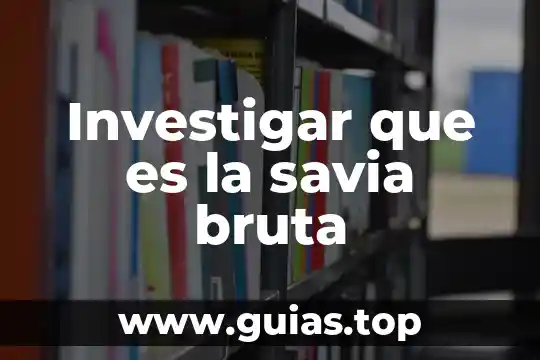 Que es un intermediarios libres 5 Investigar que es la savia bruta