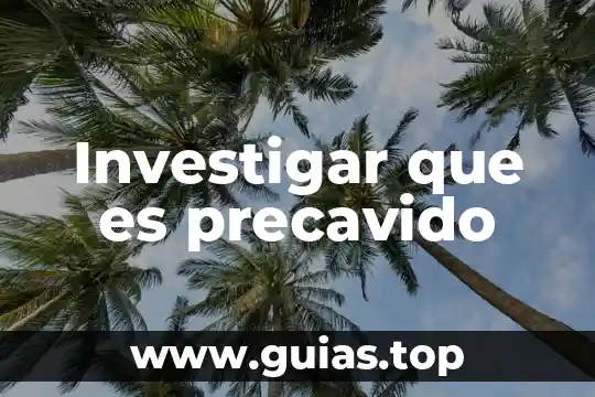 Investigar que es dieta 7 Investigar que es precavido