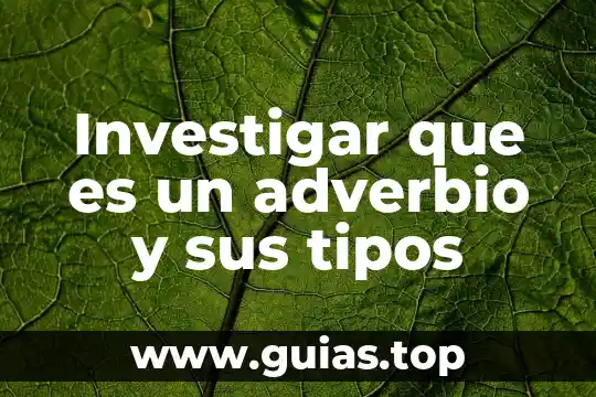 Que es una intertextualidad tipos y ejemplo 8 Investigar que es un adverbio y sus tipos