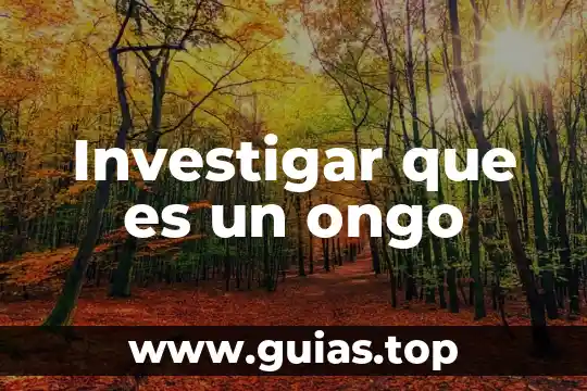 Investigar que es dieta 6 Investigar que es un ongo
