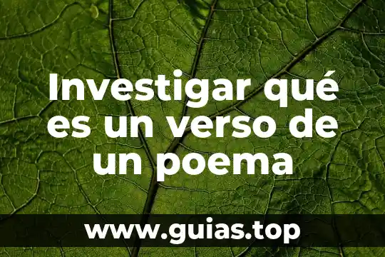 Investigar areas geograficas culturales que es oasis america 4 Investigar qué es un verso de un poema