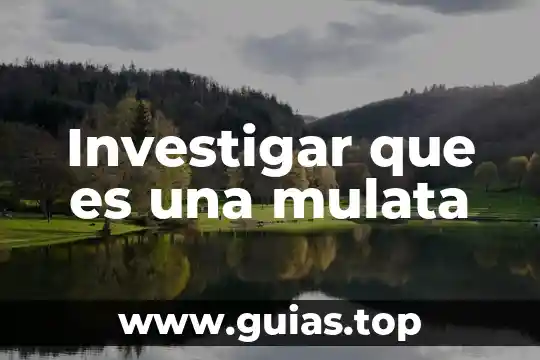 Investigar que es dieta 5 Investigar que es una mulata