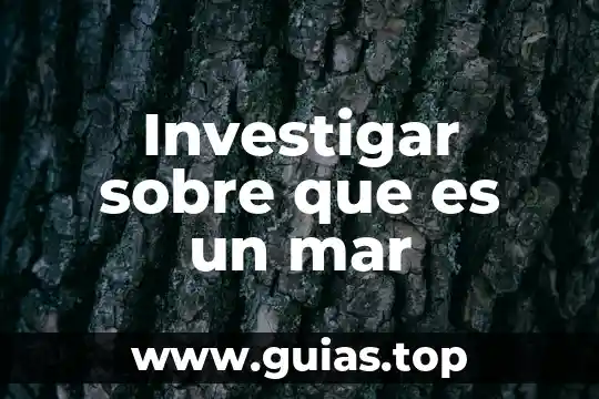 Investigar areas geograficas culturales que es oasis america 3 Investigar sobre que es un mar