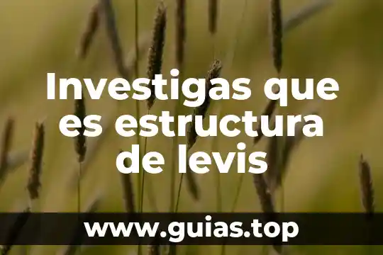 Viaje tecreativo que es 5 Investigas que es estructura de levis