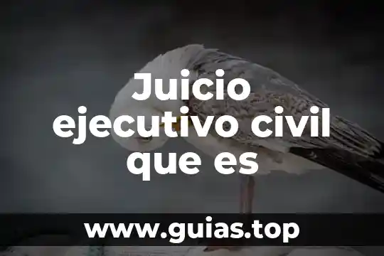 Qué es el recurso de revisión civil concepto mexicano 6 Juicio ejecutivo civil que es