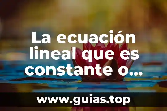 Que es el ser en la ontologia 5 La ecuación lineal que es constante o variable
