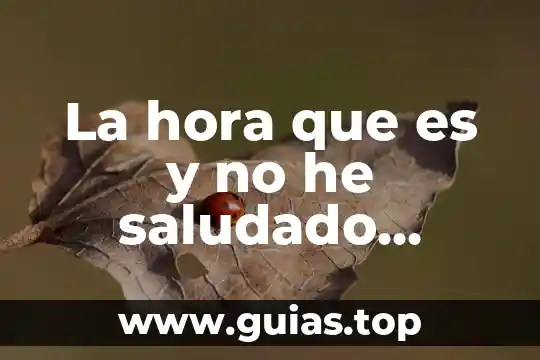 A chupar que es viernes memes 3 La hora que es y no he saludado memes