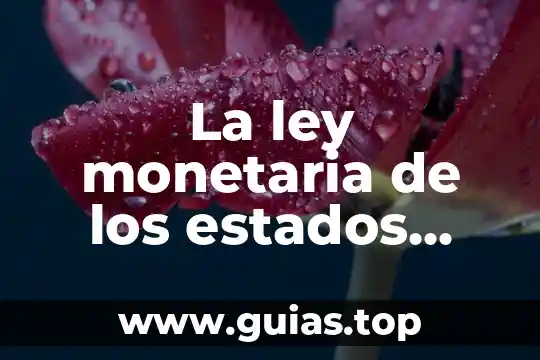 Que es el itin en estados unidos 8 La ley monetaria de los estados unidos mexicanos que es