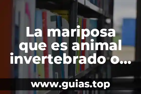 Que es el maltrato y abandono animal 5 La mariposa que es animal invertebrado o vertebrado