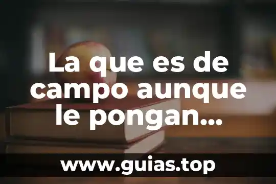 Que es una flor de campo 8 La que es de campo aunque le pongan jardin refran