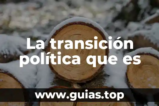 Que es persecución politica 6 La transición política que es
