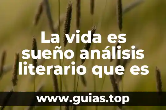 Qué es la vida término biológico 7 La vida es sueño análisis literario que es