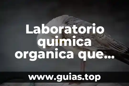 Qué es una molécula orgánica y sus funciones 3 Laboratorio quimica organica que es un agente desecante