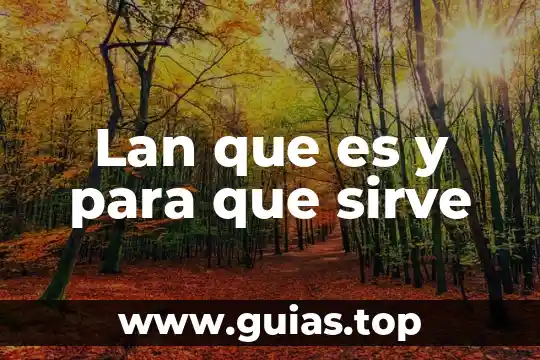 Análisis microeconómico que es y para que sirve 5 Lan que es y para que sirve