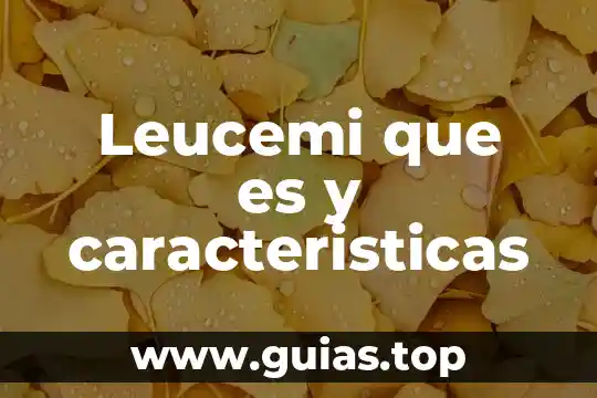 Qué es un blog características y tipos 5 Leucemi que es y caracteristicas