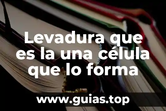 Que es el verbo to be en forma interrogativa 7 Levadura que es la una célula que lo forma