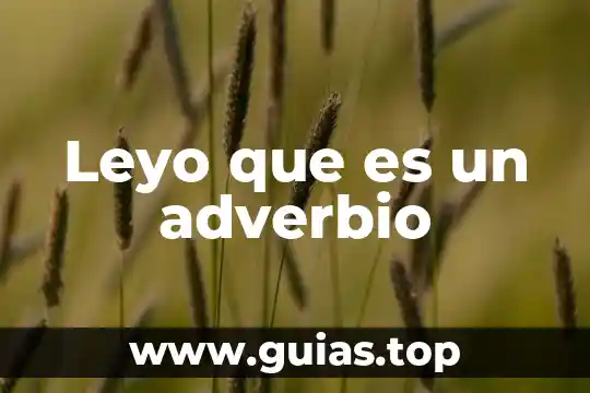 Qué es un adverbio de afirmación y ejemplos 6 Leyo que es un adverbio