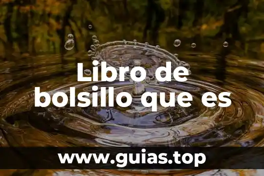 Libro de bolsillo que es