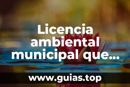 Definición de lo que es el sistema municipal 3 Licencia ambiental municipal que es