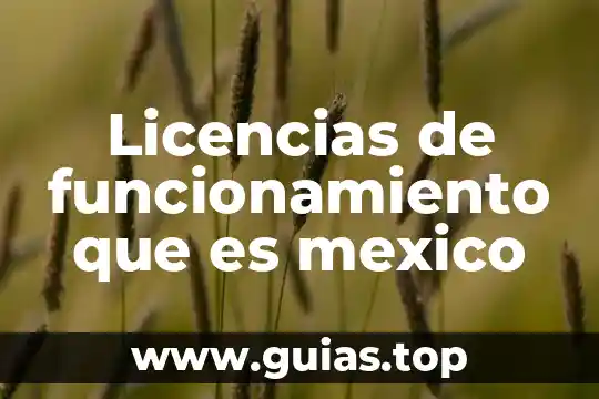 Que es un grupo indijenas en mexico 6 Licencias de funcionamiento que es mexico