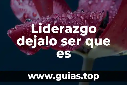 Qué es la forma de ser 8 Liderazgo dejalo ser que es