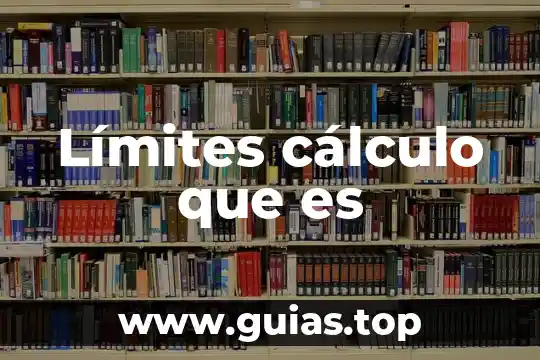 Que es grado de riesgo calculo 4 Límites cálculo que es